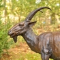 bronzefigur Geißbock Ziege