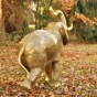 bronzeelefant gold
