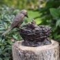 Vogelnest aus Bronze mit Küken