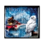 Wandbild "Hogwarts - Hedwig" auf Leinwand