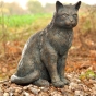 Rottenecker Bronzefigur Katze