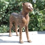 Bronzeskulptur Leopard stehend