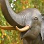 Messingstoßzähne Bronzefigur Elefant