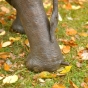 Wasseranschluss Bronze Elefant