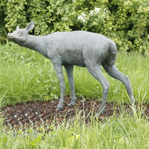 Stehende Rehgeiß von Rottenecker