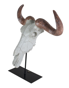 Authentic Models Buffalo Skull AR060