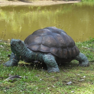 Bronzeskulptur Wander-Schildkröte lebensgross als Wasserspeier