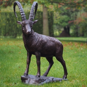 bronze steinbock groß