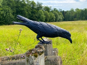 Bronzeskulptur Gebeugter Rabe mit einer schwarzen Patina