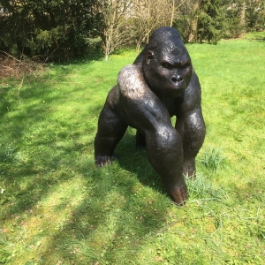 Gorilla Carlos von der Seite aus Bronze 