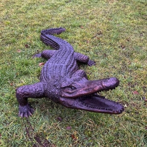 Frontansicht der Bronzeskulptur "Großer Alligator"