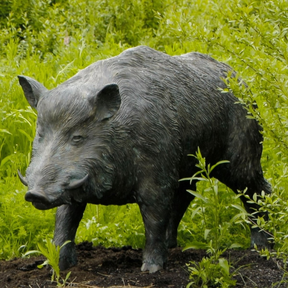 Rottenecker Bronzeskulptur Wildschwein