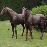 Pferde aus Bronze auf einer Wiese