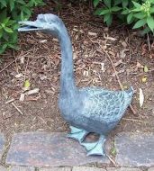Bronze-Gans Erpel Schwan Vogel Ente