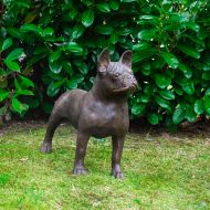 Französische Bulldogge Bronzeskulptur Bronzefigur
