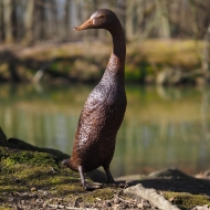 Bronzeskulptur "Stehende Laufente