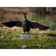 Bronzeskulptur "Flatternde Ente"
