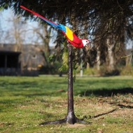 Bronzefigur "Papagei / Ara auf Baumstamm mit gesenktem Kopf"