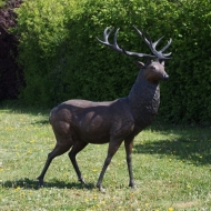 Bronzeskulptur "prächtiger Hirsch" lebensgross