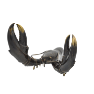 Messingskulptur "Hummer"