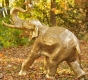 bronzeskulptur elefant gold