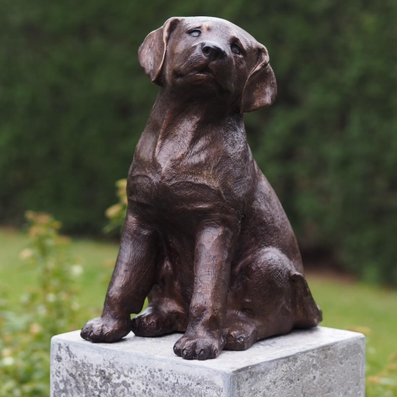 Bronzeskulptur Sitzender Labrador Welpe auf Sockel