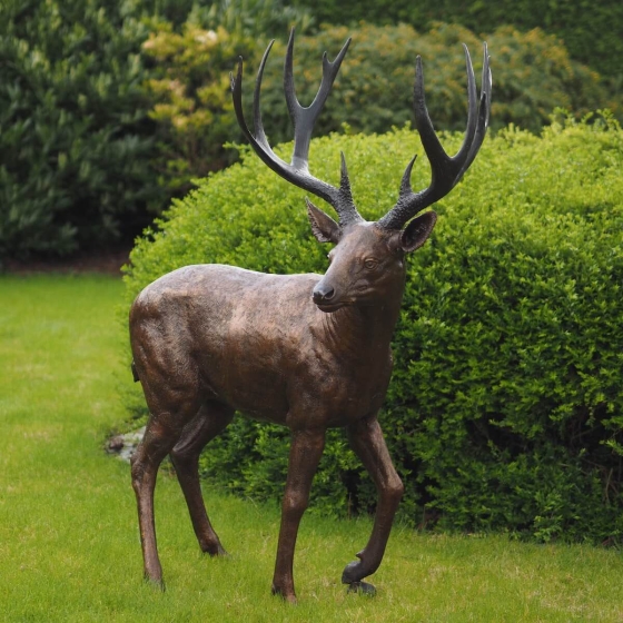 Bronzeskulptur Stehender Junger Hirsch mit brauner Patina im Garten