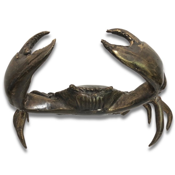 Frontansicht des Bronzekrebses