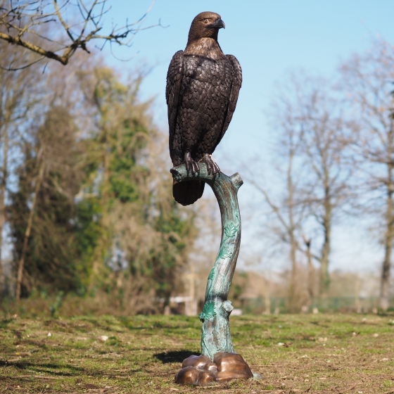 Wachender Adler auf Baumstamm
