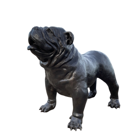 Frontansicht der Bronzeskulptur "Englische Bulldogge"