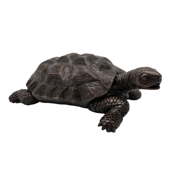 Bronzeskulptur "Neugierige Schildkröte" als Wasserspeier