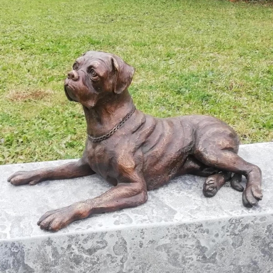 Bronzeskulptur "Liegender Boxer"