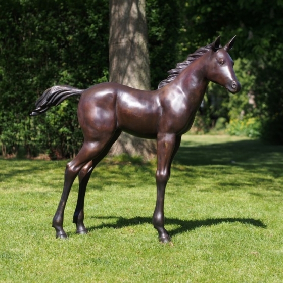 Bronzeskulptur "Stehendes Fohlen" auf einer Wiese