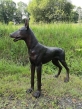 Stehender Dobermann aus Bronze auf einem Feld von der Seite