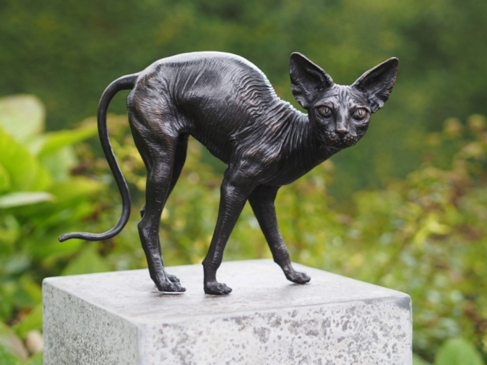 Bronzeskulptur "Buckelige Sphynx Katze"