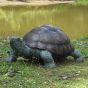 Bronzeskulptur Wander-Schildkröte lebensgross als Wasserspeier 