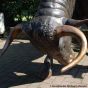 Bronzefigur Gesenkter Kopf von einem Stier 
