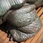 Nahaufnahme Schildkröte Bronzefigur 