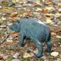 Bronze Wildschwein Frischling