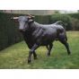 Lebensgroßer Stier aus Bronze im Garten