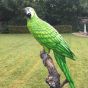 Gelbgrüner Papagei aus Bronze