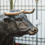 Bronze Stier lebensgroß Brinzeskulptur Bulle