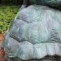Schildkrötenpanzer aus Bronze