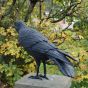 Krähe Gartenfigur Bronze
