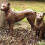 Gepardenpaar aus Bronze
