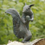 Bronze Eichhörnchen