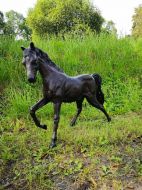Bronzeskulptur "Kleines Pferd im Schritt"
