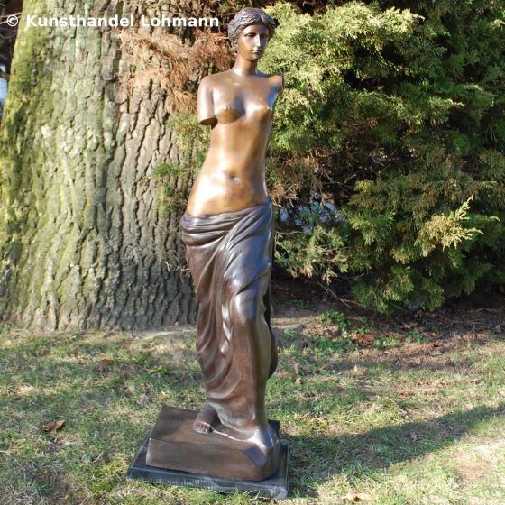 Bronze-Akt Frau / Venus