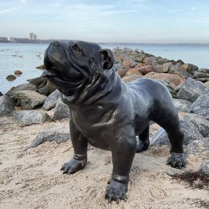 Beispielansicht der Bronzeskulptur "Englische Bulldogge"