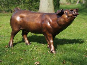 Bronzeskulptur "Stehendes Hausschwein" auf einer Wiese